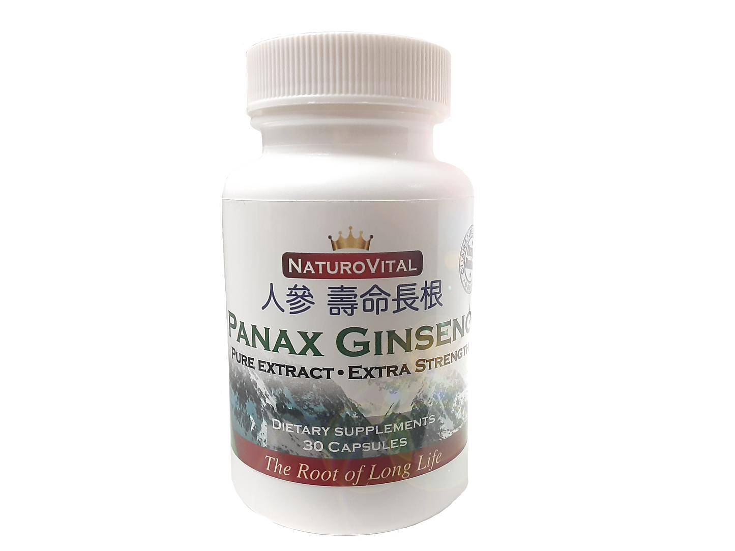 Panax Ginseng
