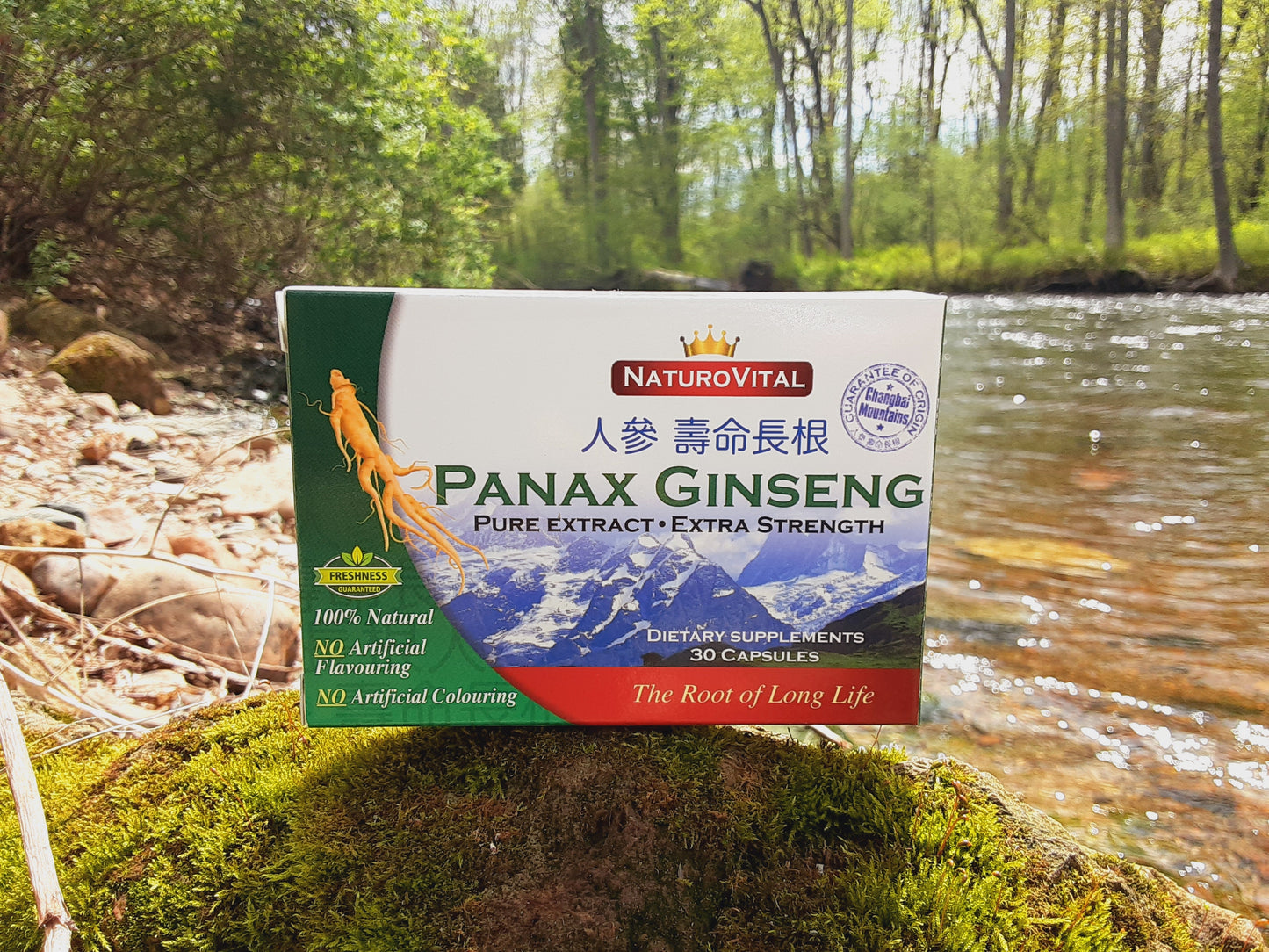 Panax Ginseng