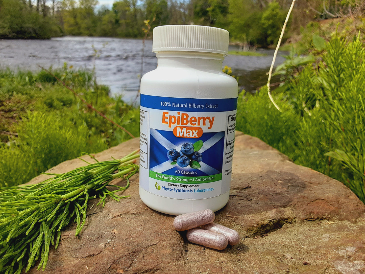 Epiberry Max